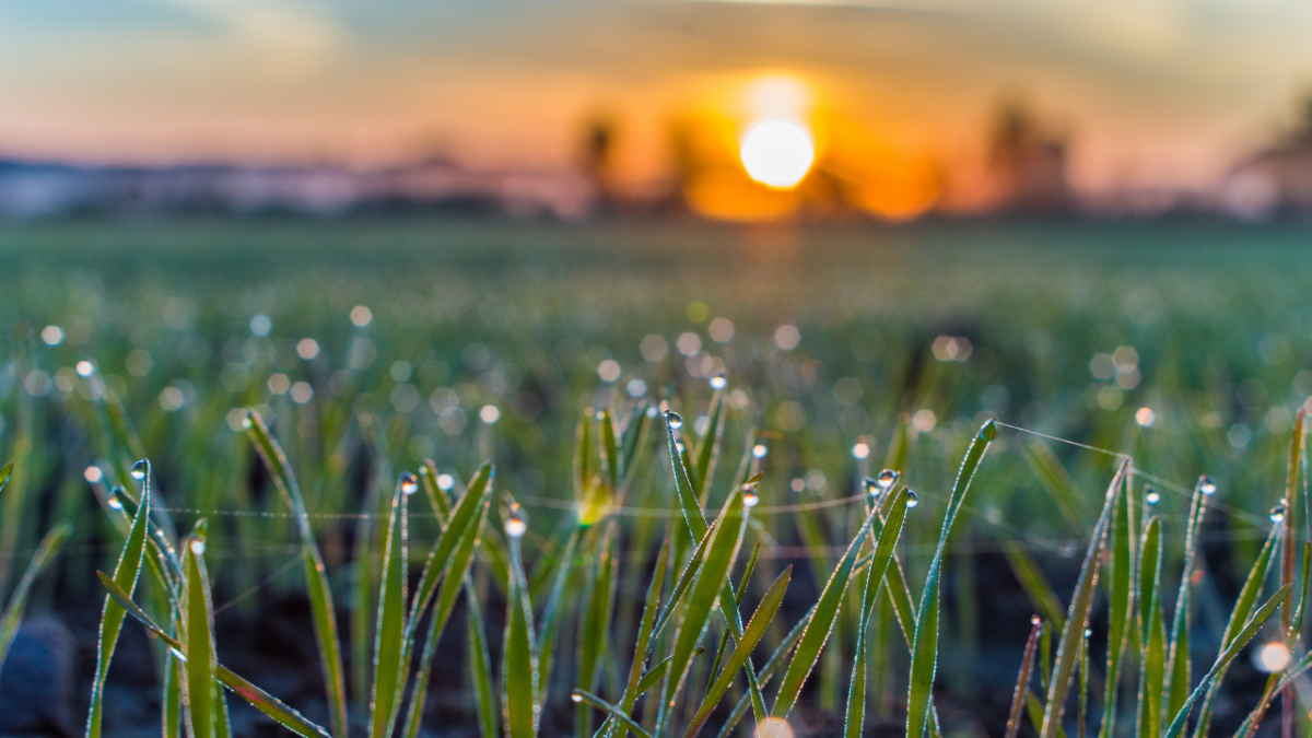 Sonnenaufgang – ein Moment der Ruhe und Dankbarkeit